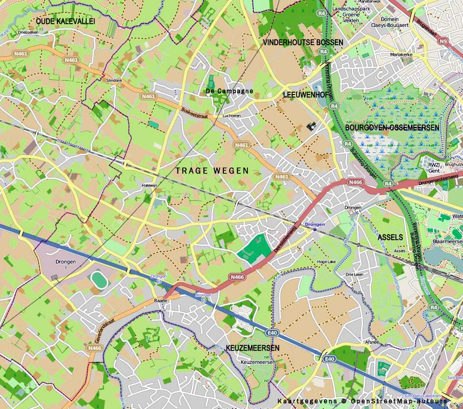 groene plekjes DRONGEN