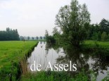 de assels