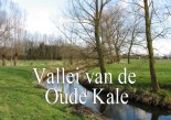 oude kale